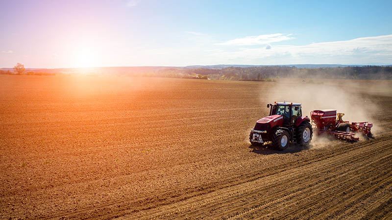 Tractor driving in a wheat field with the sun setting in the background