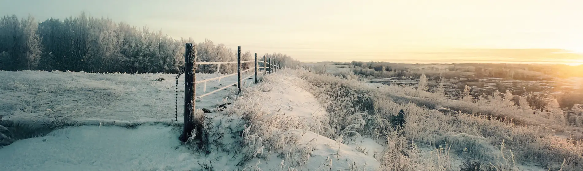 Field and fence covered in snow and ice