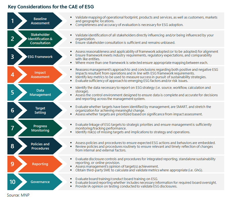 Internal Audit Considerations: The new urgency of environmental, social ...