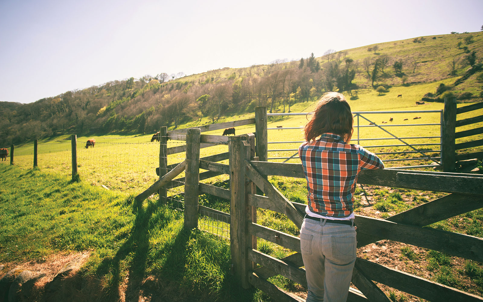 farmer standing along a fence in a sunny farm yard