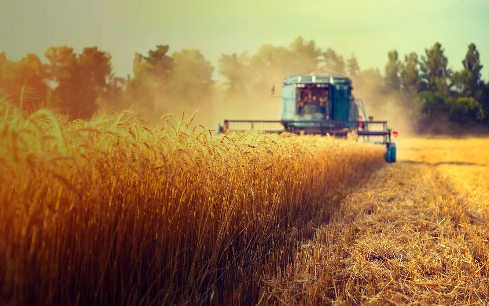 tracteur dans un champs