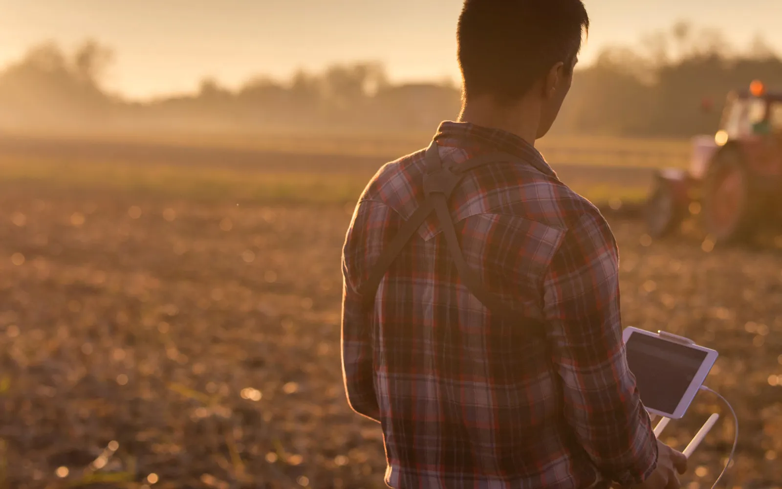 A person standing in a field