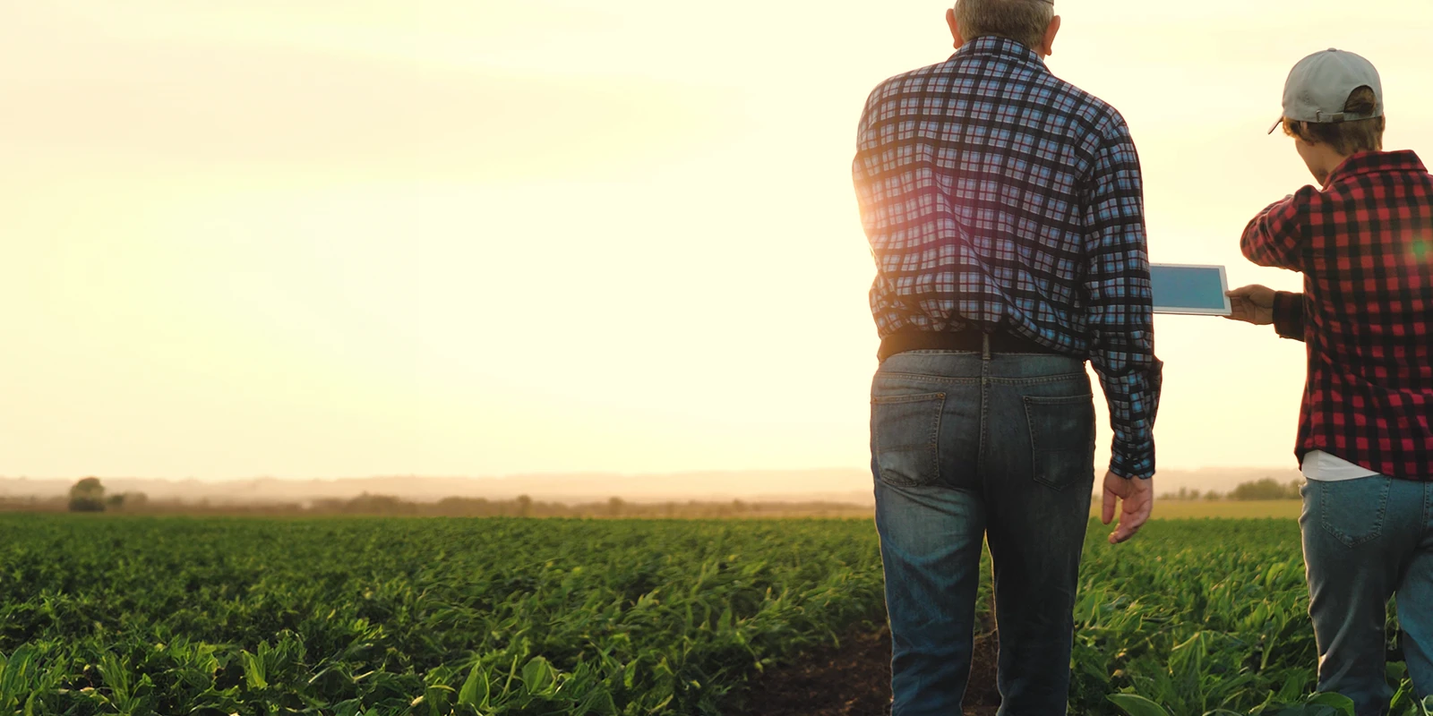 farmers working on a tablet in a field