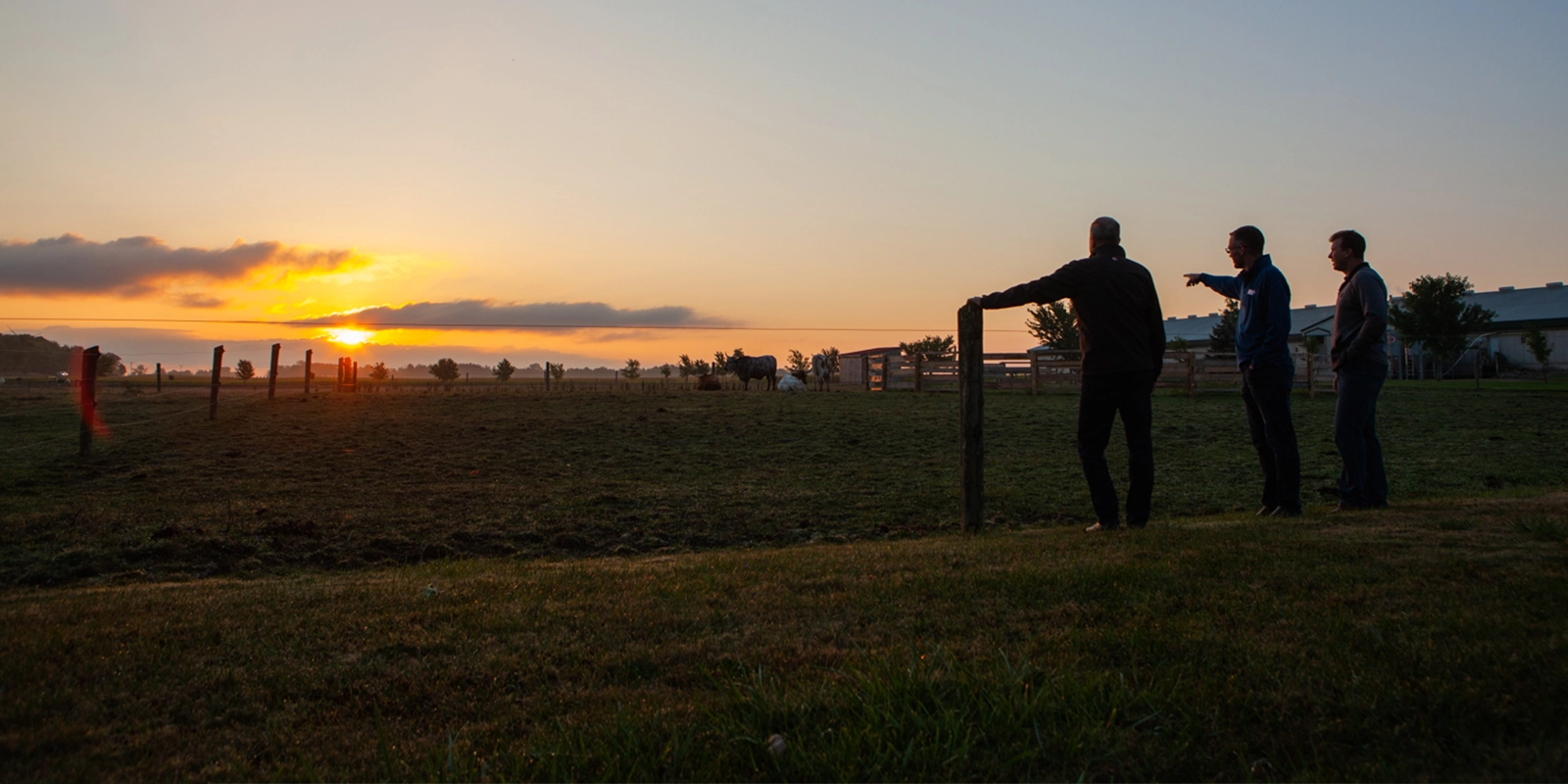 two farmers over looking a field