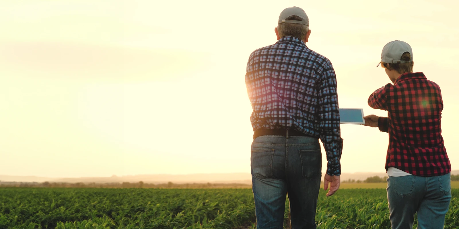 Farmers reviewing data on a tablet in a field.