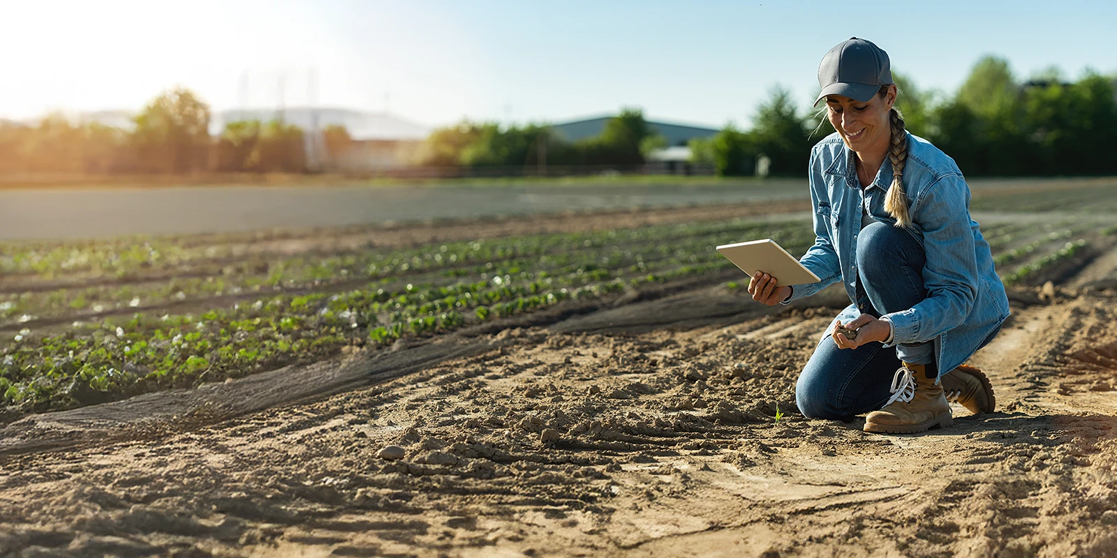 Agronomy 101: Navigating the trends shaping crop farming | MNP