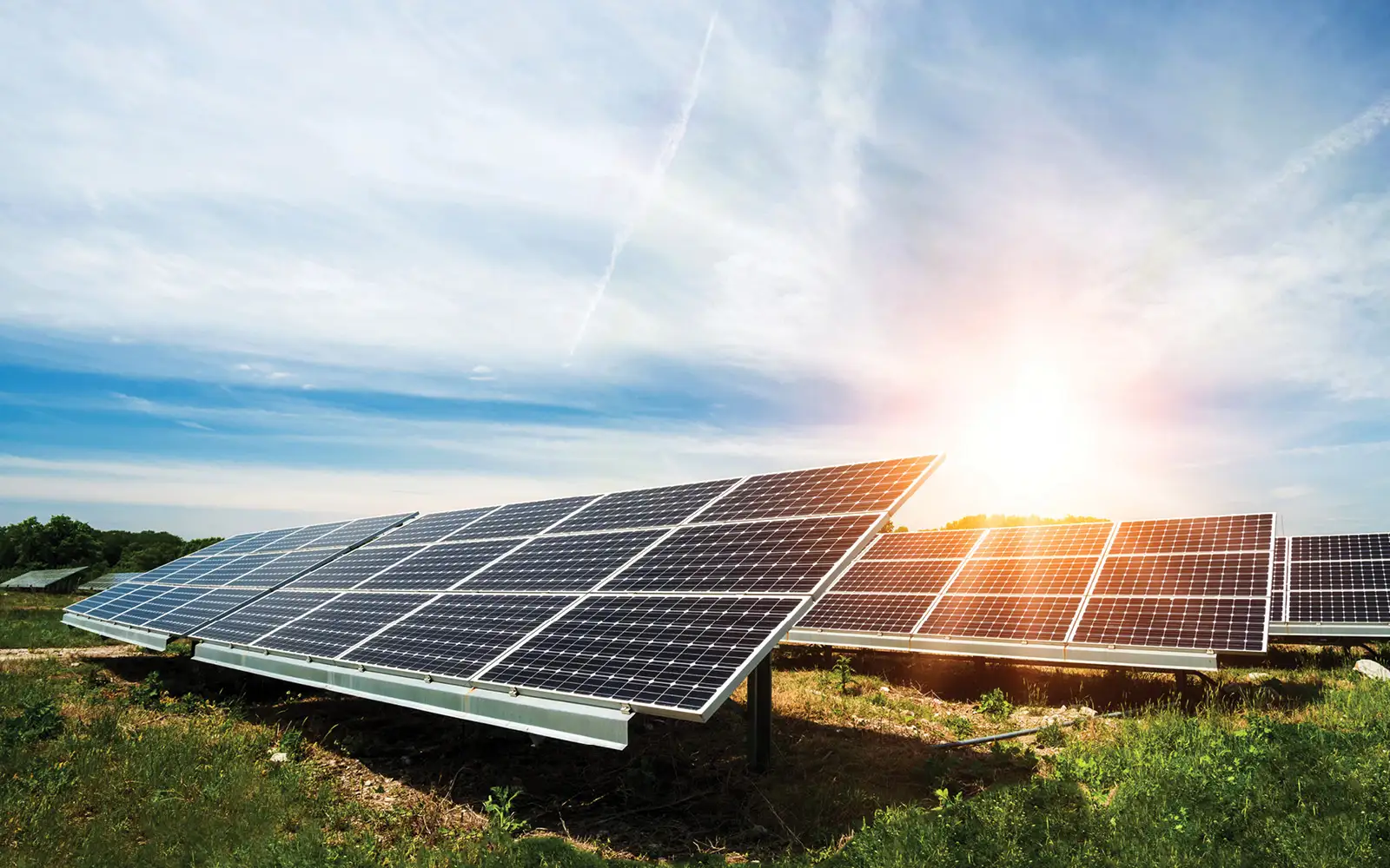 Solar panels in a green field