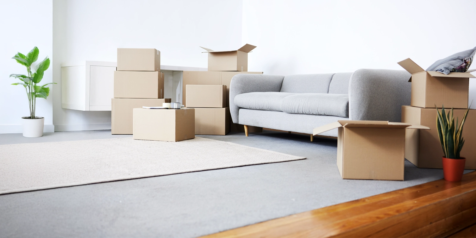 grey couch in a living room surrounded by moving boxes