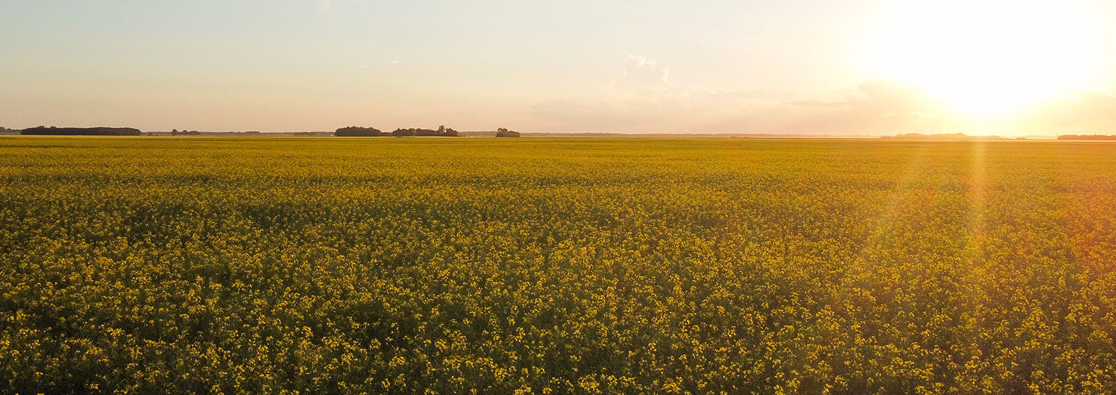 Ag Days 2024 MNP   Ag Days Landing Page Header Image 