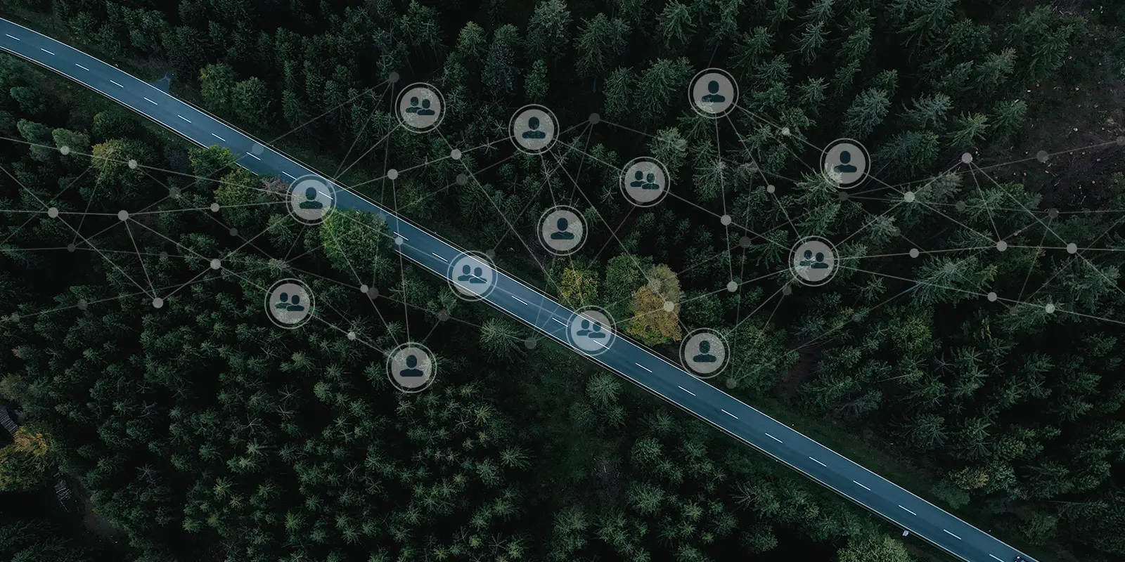 Image of forest with data points overlaid onto image