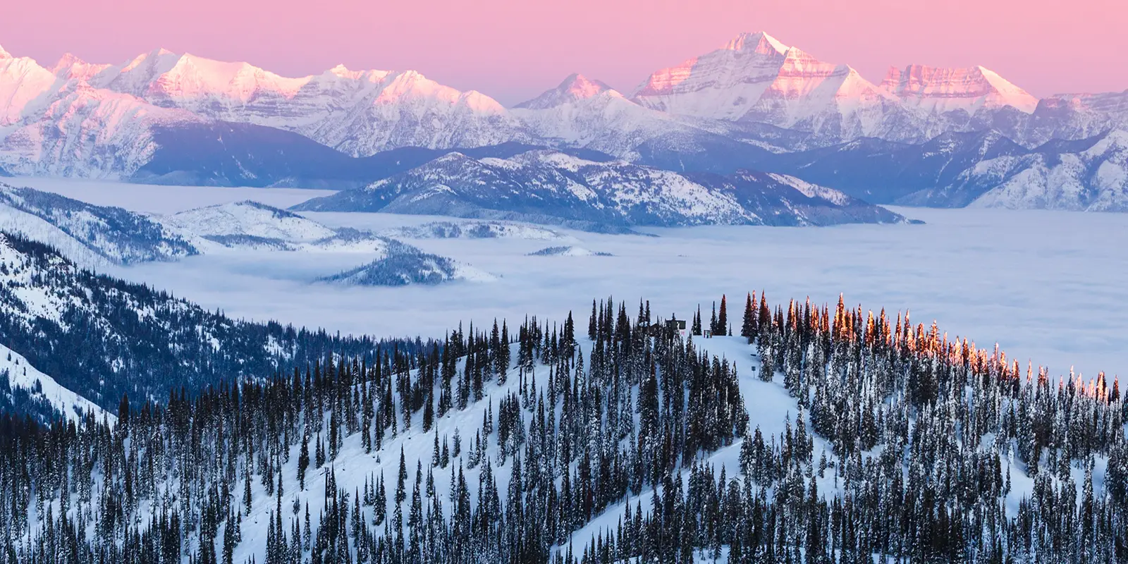 winter mountain scenery with trees