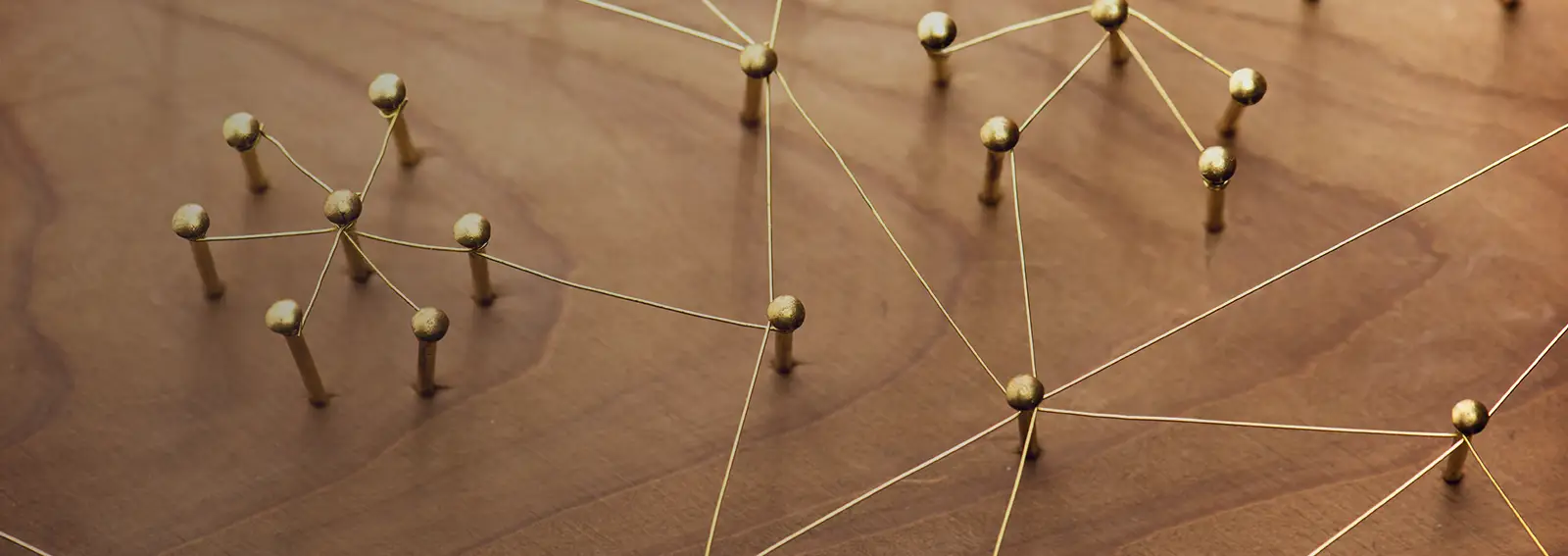 Company structure illustrated with pins in a wood board