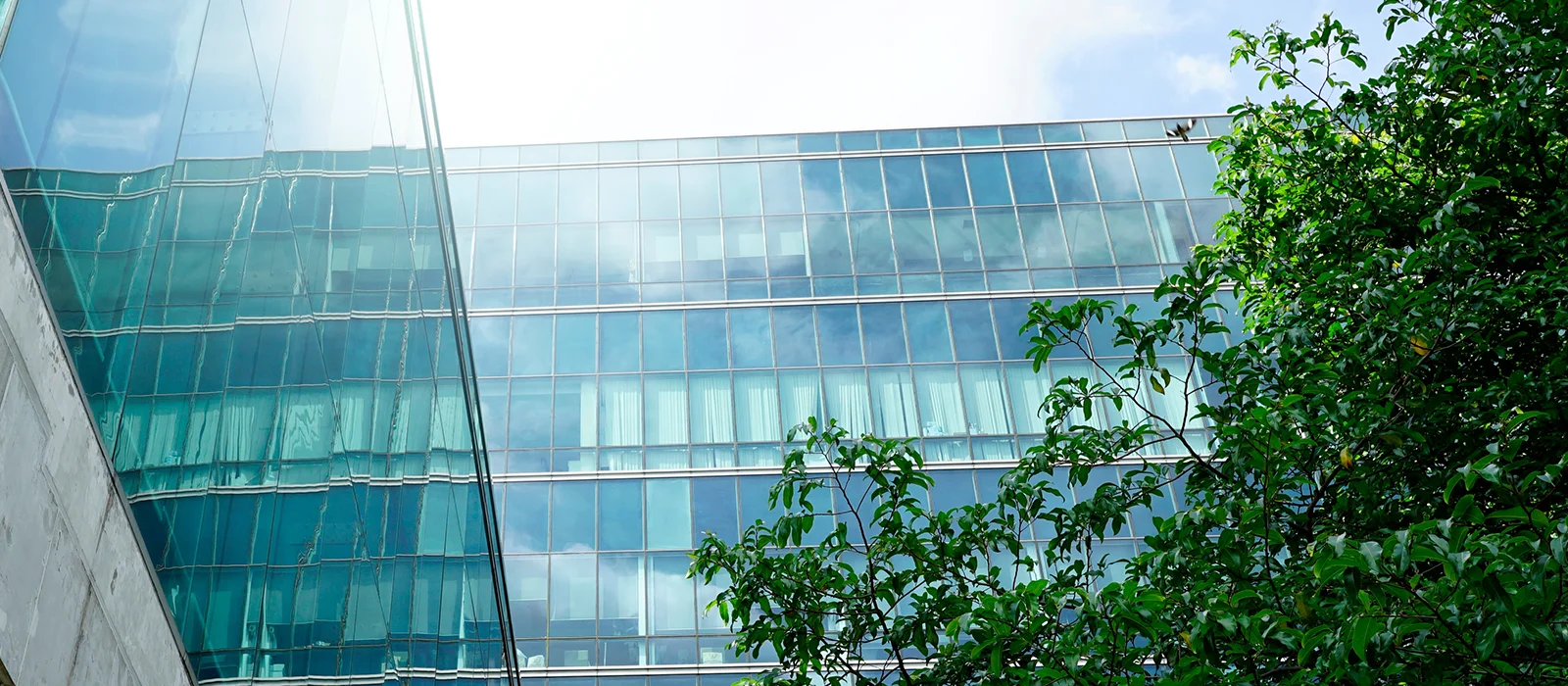 Immeuble de bureaux moderne entouré d'arbres.