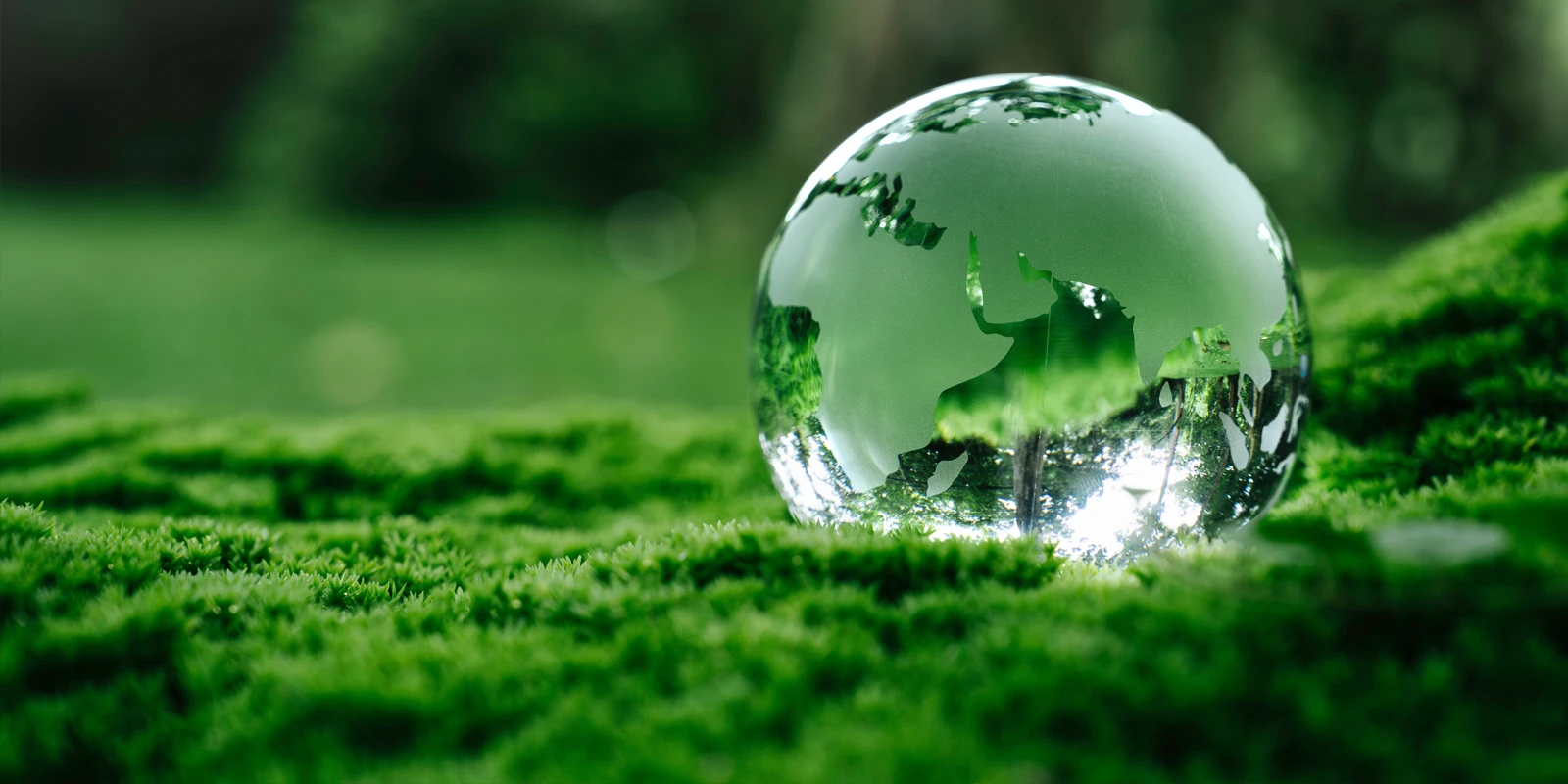 A transparent globe sitting in the grass.